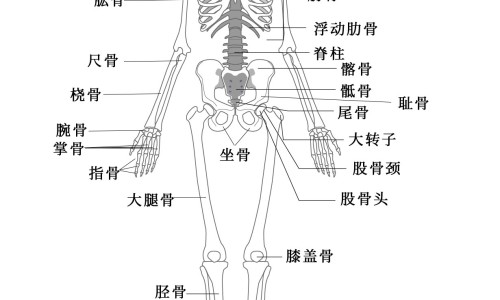 梨吃了好不好网 - 梨吃了好不好拉肚子,吃梨好吗有营养吗